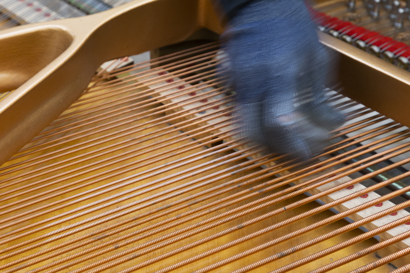 弦の表面を研磨して汚れを除去する。磨いた箇所とそ未作業部分に明らかな差が